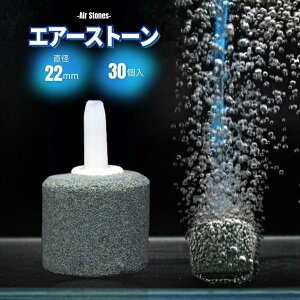 GA[Xg[ n^ 22mm ׂA C  uNuN  _J Mы Vv   _f ANApi 30