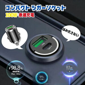 RpNgVK[\Pbg J[`[W[ }[d 100W ~j ŏ vOdl USB Type-A Type-C ubN