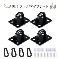 アイプレート 天井フック 4個セット ステンレス製 ブラック サンシェード取付 壁面 吊り下げ金具 カラビ…