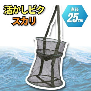  rN XJ CPX a jނ Fނ oC |[^u a25cm