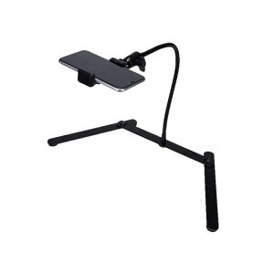 X}zX^h  茳Be zM Or BeX^h Œ ՎBe _Be R^ QȂ