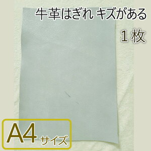 v͂ LY1 A4TCY v׍H S  vޗ VRv Kp Y { 0006