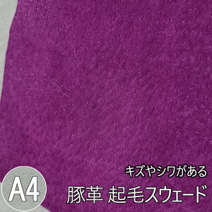 ؊vXEF[h LYV XG[h Kp SҌ NуXEF[h ؊vnv v͂ 1 Y { 00010