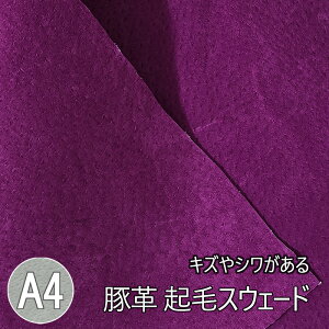 ؊vXEF[h LYV XG[h Kp SҌ NуXEF[h ؊vnv v͂ 1 Y { 00016