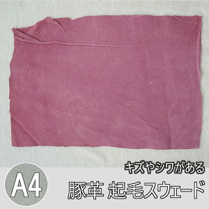 ؊vXEF[h LYV XG[h Kp SҌ NуXEF[h ؊vnv v͂ 1 Y { 0027-33