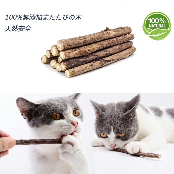 楽天市場 またたびの木 猫歯ぎしり棒 純天然マタタビ 猫 噛む おもちゃ歯クリーニングスティック 10本 Koneko