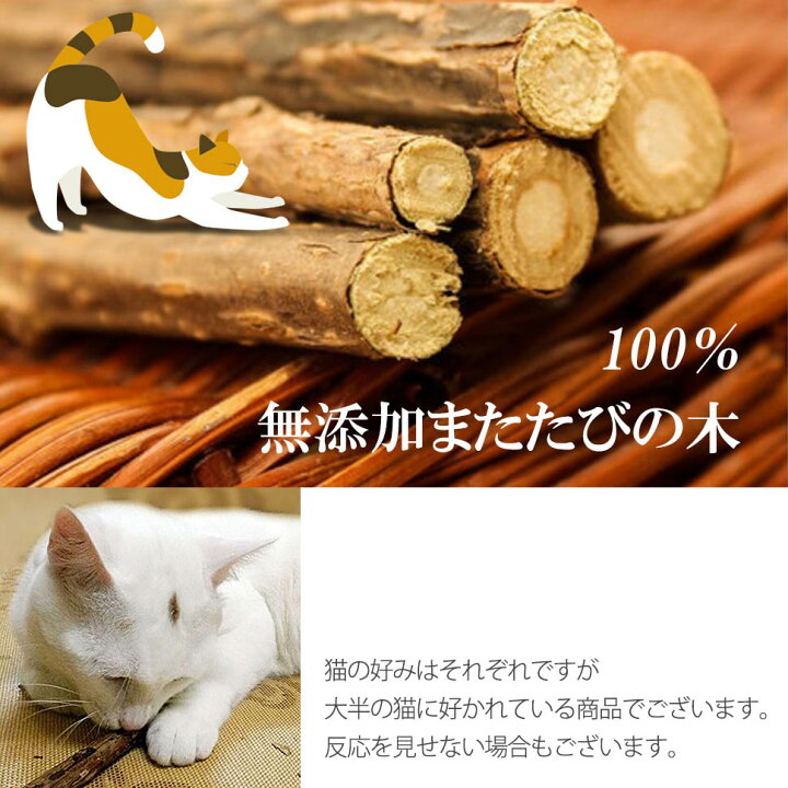 楽天市場 またたびの木 猫歯ぎしり棒 純天然マタタビ 猫 噛む おもちゃ歯クリーニングスティック 10本 Koneko