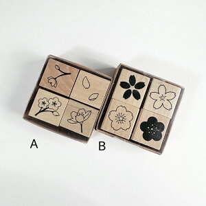 ؐSZbg    X^v 4Zbg