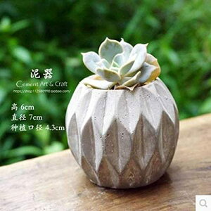 Zg  AAT{e v^[e plant pot