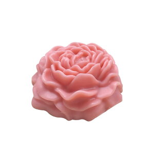 ÕLh,̐Ό,΍p,Sy,,VR^ W WNtg@OS