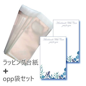 bsO䎆@opp܁@100Zbg@ANZT[fBXvCJ[h sAX䎆@CO䎆@05t[B