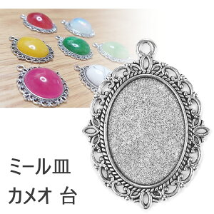 ~[M JI  W  y_g ȉ~` ANZT[p[c