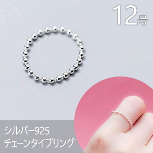 `F[wց@X^[OVo[925 `F[^CvOfB[X 12