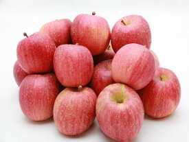 【26シーズンご予約開始】長野県北信州産家庭用蜜入りサンふじりんご10Kg
