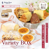 バラエティーボックス(大箱)【ネット限定】ベーネン シフォンケーキ シフォン チーズケーキ クランツ ス…