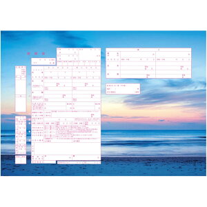 ͐쏊fUC  Sunset Ocean@v|[Y̍wւ̑ƂđlCI