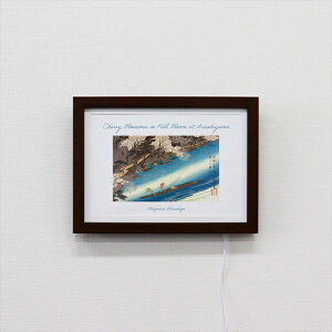 Illume CeA A[g{[h Ld 炵R WD A5TCY zCg ubN ؖ CeA A[gt[ A[gpl a _ Ǌ|  IV a_ CeA 