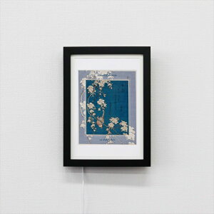 Illume CeA A[g{[h k } BK A4TCY zCg ubN ؖ CeA A[gt[ A[gpl a _ Ǌ|  IV a_ CeA  