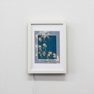 Illume CeA A[g{[h k } WH A5TCY zCg ubN ؖ CeA A[gt[ A[gpl a _ Ǌ|  IV a_ CeA  