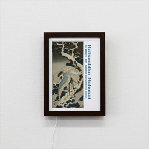 Illume CeA A[g{[h k ᏼɒ WD A5TCY zCg ubN ؖ CeA A[gt[ A[gpl a _ Ǌ|  IV a_ CeA  