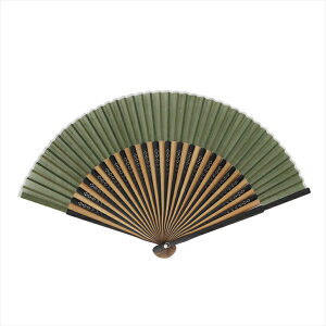 Ripple FAN ȖXuZnq 22.5cm  Gݐq a  a q  ZX c a a r   IV Y l jp amp Ol v[g 