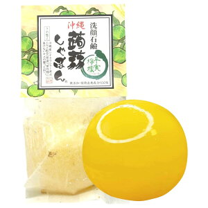 Ό 肵ڂ V[N[T[ 80g L Mq̍ q