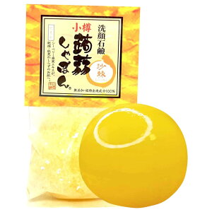 Ό M肵ڂ V[x[ 80g r Mq̍ q