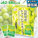 便利で食べやすいパウチタイプ！ こんにゃくゼリー ひとくち蒟蒻ゼリー こんにゃくパーク シャインマスカット こんにゃくミニゼリー BOX入り パウチ 大容量 個包装タイプ ダイエット食品 ダイエットゼリー 蒟蒻 (1箱1000g・約62〜68個入*1個)