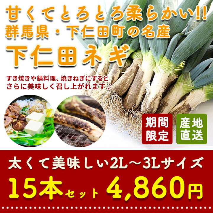 1794円 多様な 下仁田葱の会 堀口さんグループの下仁田葱 群馬県下仁田町産 2lサイズ 8本 送料無料 1794円 多様な 下仁田葱の会 堀口さんグループの下仁田葱 群馬県下仁田町産 2lサイズ 8本 送料無料