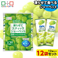 【ランキング1位獲得】 凍らせておいしい！ シャーベット アイス スティックシャーベット 長野シャインマ…