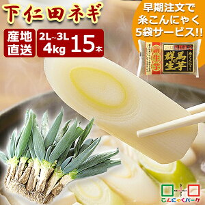 y\̔b12/8`12/22܂łɔz mclM 2025NxY Ĕ2L`3LTCYI iɂ 4kg mc˂ 15{ 2LTCY 3LTCY mcK YZbg 傫 QnY 