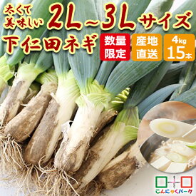 【予約販売｜準備ができ次第順次発送】 下仁田ネギ 2025年度産 太くて美味しい2L〜3Lサイズ！ 贈答品にもおすすめ 4kg 下仁田ねぎ 15本入り 2Lサイズ 3Lサイズ 下仁田葱 特産セット 大きい 群馬県産 産地直送 こんにゃくパーク ND-15【ランキング1位獲得】【数量限定】