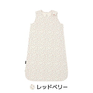 y10%offN[|Ώہzou[X[sOobO Rj[X[p[ Q₦΍ EȒP V Ԃ Rbg Q Rj[ Konny q xr[ LbY ؍ ѕz 70 80