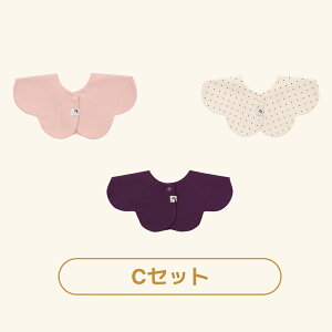 y1|Cg5{zyyV1ʁzRj[X^C 3  X^C  360 [O Rj[ Konny 悾ꂩ bsO Zbg ۈ牀 xr[X^C  R 悾Jo[