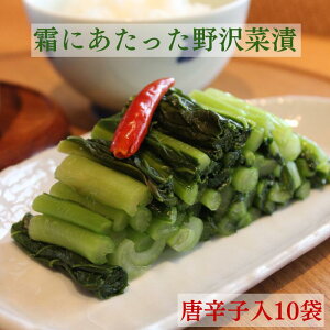 yɂؒГhq10܁z؂̉ԉ 쌧Y MB Ε Е