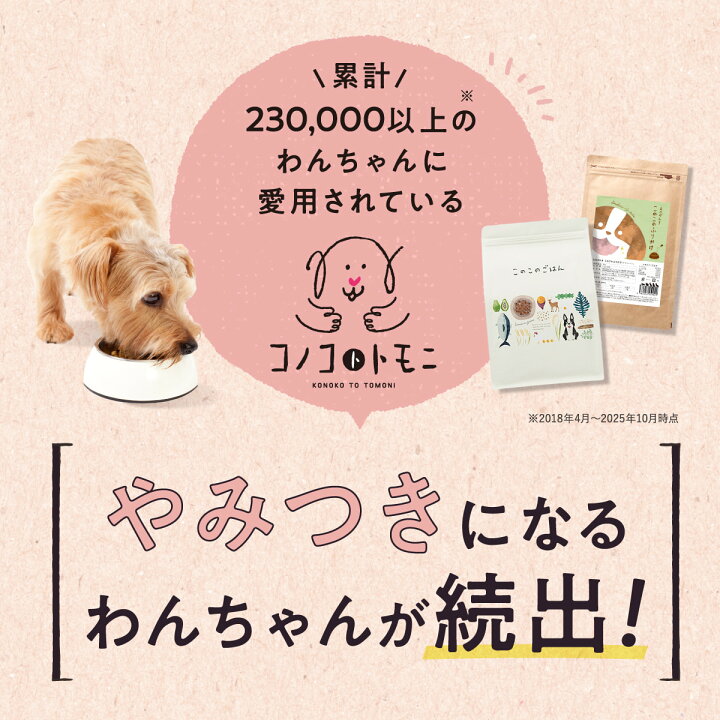 楽天市場】☆おやつ型 関節ケアサプリ【公式】関節げんき このこの 
