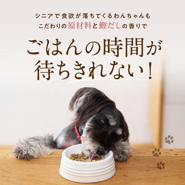 楽天市場】【 公式 】 シニアのための このこのごはん コノコトトモニ 