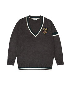 男女兼用 エンブレム付き スクールセーター(全3色) 高校 学生 私服 スクール ニット 高校生 中学生 学生 学校 通学 女子 男子 人気 ブランド 入学 高校 中学 スクール 女子高生 制服専門 学生服 メンズ