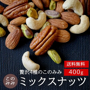 【100g増量中!!】送料無料 無塩 小袋 オイル不使用 ナッツ ピーカンナッツ アーモンド ピスタチオ カシューナッツ 健康 美容 おつまみ 小分け 日本製 お中元 おやつ 素焼き・無添加贅沢4種のこのみみミックスナッツ 500g(100g増量中)