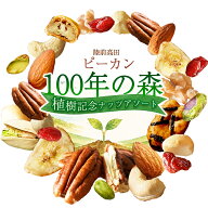 送料無料 ピーカン100年の森アソート(254g (10種各1袋)） 無塩 小袋 素焼き・無添加 オイル不使用 ナッツ…