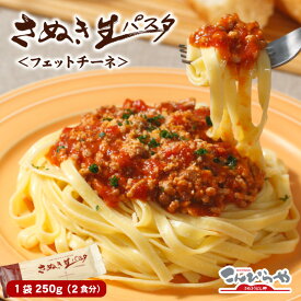 【本場讃岐うどん製法】さぬき生パスタ250g（フェットチーネ）2食分 パスタ 生パスタ 食品 お試し ポイント消化 ★