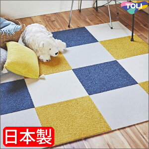 plJ[ybg A^bN270  t@ubNtA 40cm×40cm ^CJ[ybg O LoXt@C