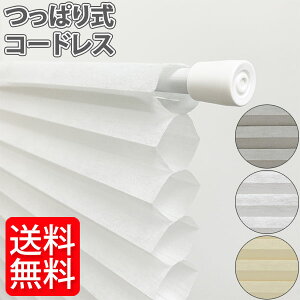 njJVF[h ˂莮 Ռ ՔM gȃGl v[cVF[h t[Jbg njJXN[ VO ς  Xbg v[cXN[ njJuCh