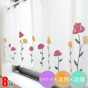 p JtFJ[e ՔM [X J[e 100 45cm 50cm V[g J[e I ډB Lb`  ʏ  hイ ky|XgCz z