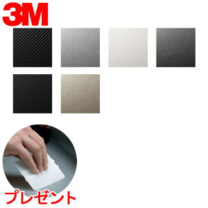 _CmbNV[g 3M(X[G) _CmbNtB Carbon J[{ u10cmPʁv