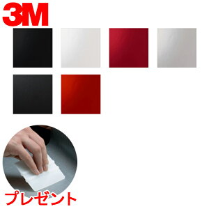 _CmbNV[g 3M(X[G) _CmbNtB HighGloss nCOX u10cmPʁv