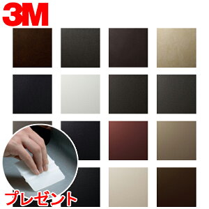 _CmbNV[g 3M(X[G) _CmbNtB Leather U[ u10cmPʁv