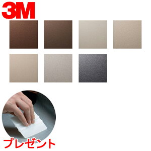 _CmbNV[g 3M(X[G) _CmbNtB Sand Th u10cmPʁv