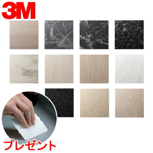 _CmbNV[g 3M(X[G) _CmbNtB Stone Xg[ u10cmPʁv