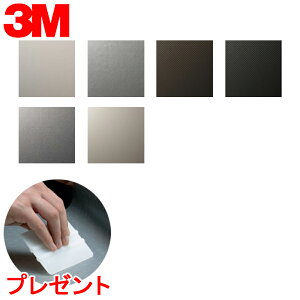 _CmbNV[g 3M(X[G) _CmbNtB Carbon J[{ u10cmPʁv